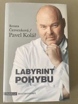 Labyrint pohybu