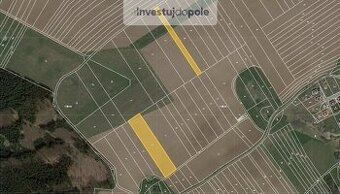 Prodej pole v k.ú. Ostrov u Macochy