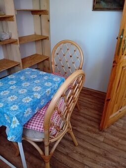 Podnájem podkrovního pokoje - 1