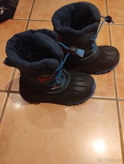 Zimní sněhule Martes