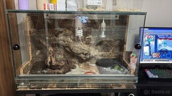 Terarium pro agamu - 1