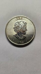 Stříbrná mince Canadian Maple Leaf 1OZ 2014
