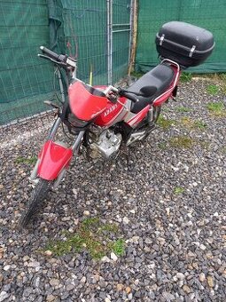 Adams 125