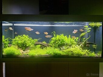 Akvárium Juwel Rio 240