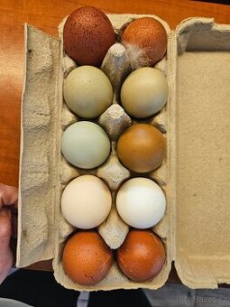 Násadová vejce na barevná vejce