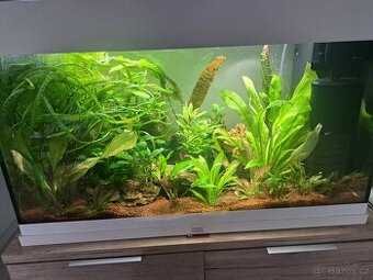 Juwel rio 120 - 1