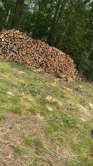 Palivové dřevo smrk, borovice