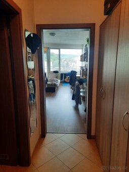 Pronájem bytu 1kk, Vídeňská, Brno - 1