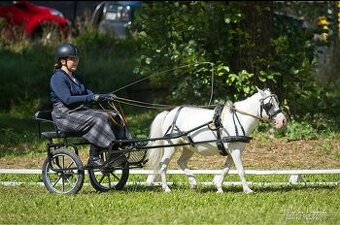 Sulka za pony, postroj minishetty