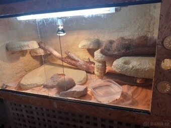 Terarium
