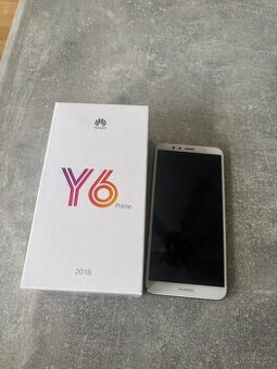 Y6 prime