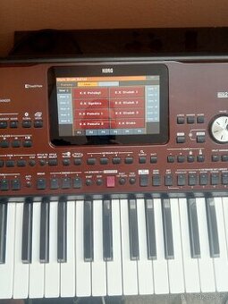 Korg pa 700 - 1