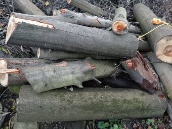 Prodám habr - tvrdé palivové dřevo