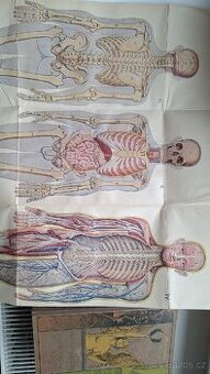 Prodám knihy Přírodní léčba a domácí lékař I. a II.