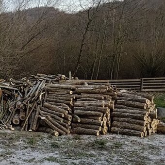 Měkké palivové dřevo