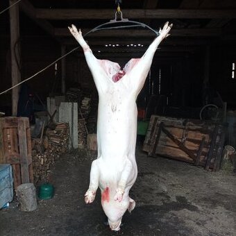 Prodám 1/2 doma vykrmeného prasete