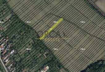 Prodej pozemku 0,1 ha v k.ú. Radějov u Strážnice