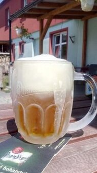 Přijmeme Servírku-Číšníka