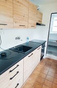 Pronájem zateplené chaty o dispozici 3+1 se zahradou, Plzeň,