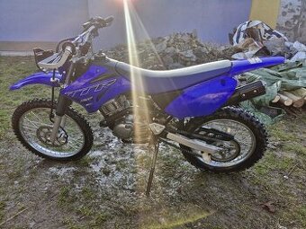 Yamaha ttr