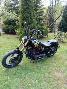 Harley Davidson FXDB Syna Street Bob