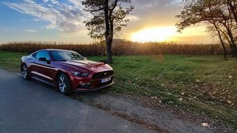 Ford Mustang 3.7 US verze - 1