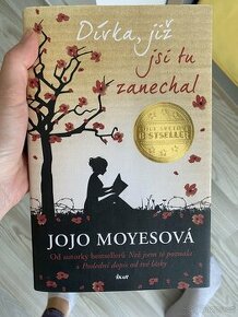 Kniha dívka již jsi tu zanechal