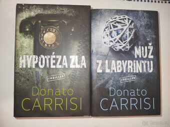 Hypotéza zla, Muž z Labyrintu- Donato Carrisi