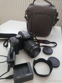 Bezzrcadlovka Panasonic Lumix G vč. příslušenství - 1