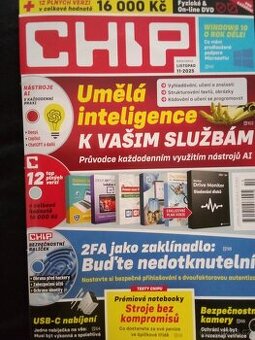 CHIP 11/2025