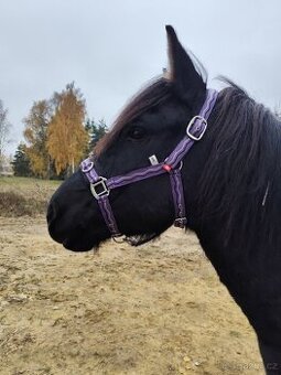 Více věcí na koně