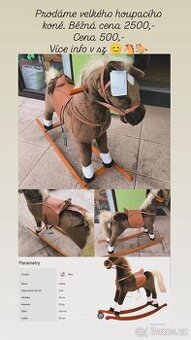 Velký houpací konik