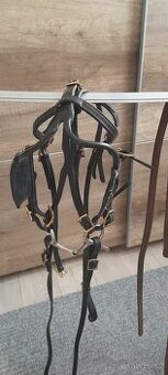 Postroj do sulky minihorse