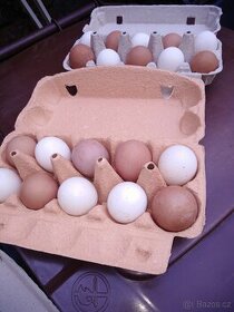 Čerstvá vejce
