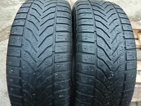 Zimní pneu Lassa 205/60 R16