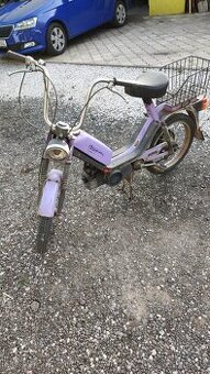 BABETTA 210