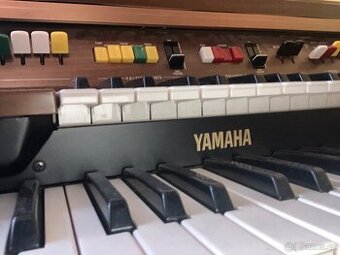 Yamaha a Everett Hammond - 1