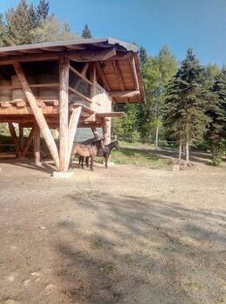 ustájení koní Paddock Paradise