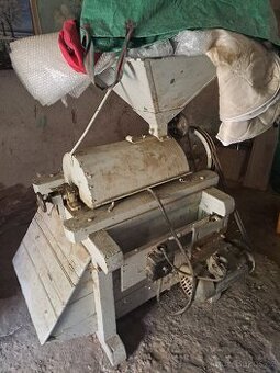 Srotak