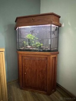 Rohové akvarium