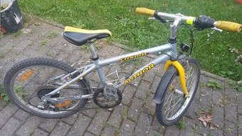 Dětské kolo 20 Autor Cosmic