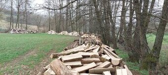 Prodám suché tvrdé dřevo na topení