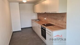 Pronájem bytu 90 m2, 3+1 se zahradou v rodinném domě, Hněvoš - 1