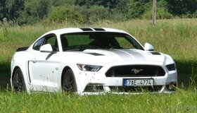Ford Mustang GT 5,0L V8