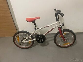 Author vítal kolo 20”