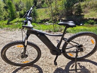 GIANT Fathom E+3 Power 29er