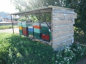 Včelí úly, příslušenství, včelstva - nemoc