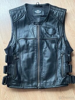Vesta Harley Davidson - 1