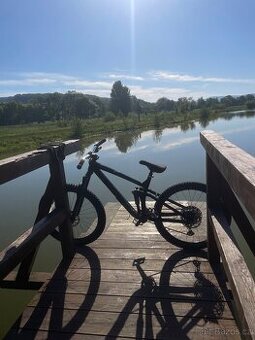 Trek remedy 8 2020