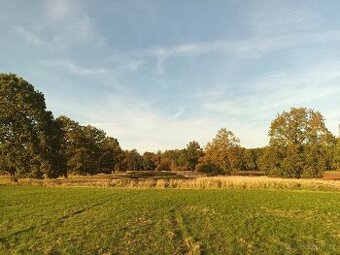 Pištín/ Češnovice Ostatní plocha 11644m2